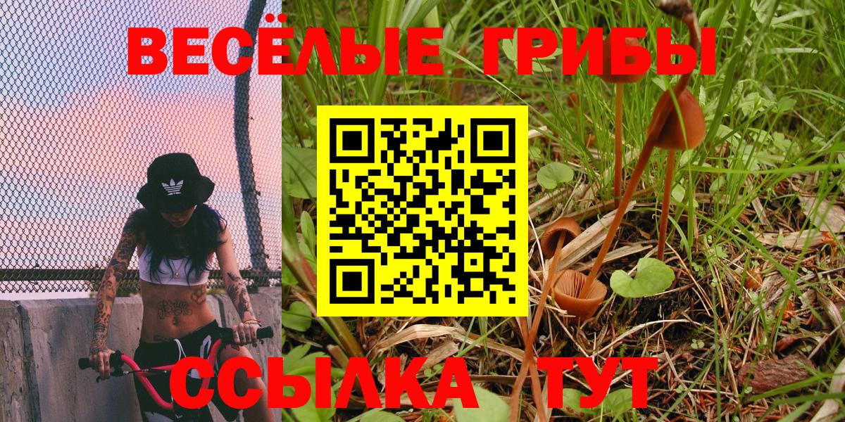 Галлюциногенные грибы мухоморы Королёв