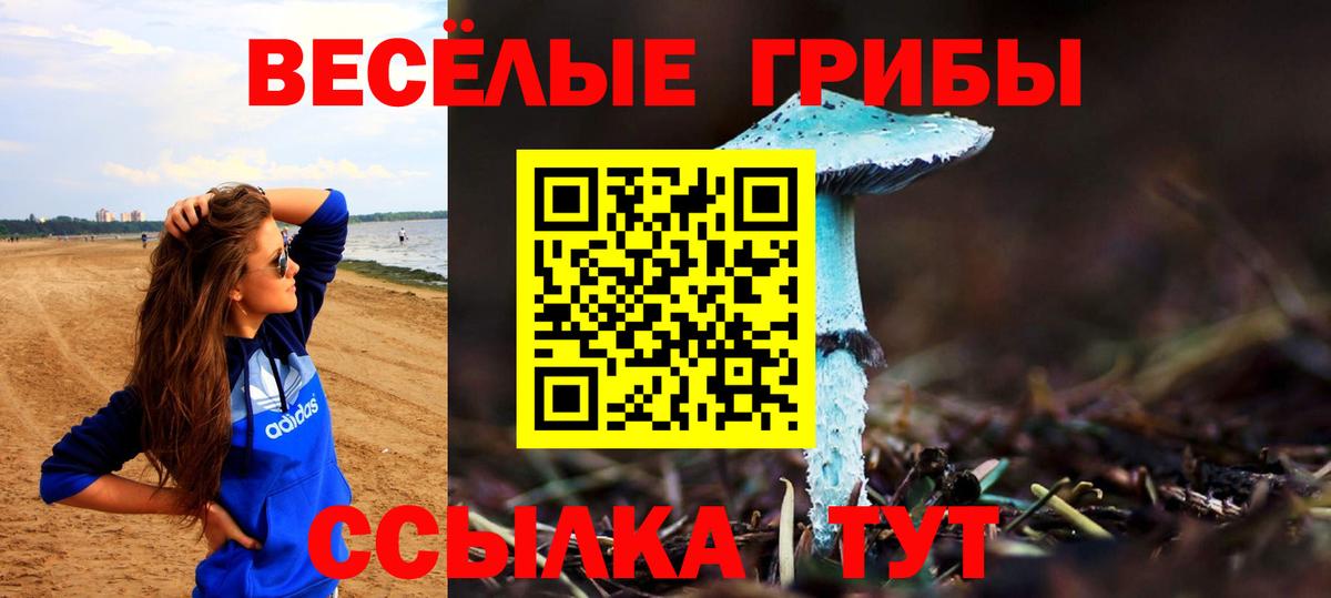 Галлюциногенные грибы Cubensis  Вход с VPN  Королёв  Галлюциногенные грибы ЛСД 
